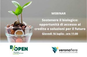 i finanziamenti e l'accesso al credito i temi del webinar di b open