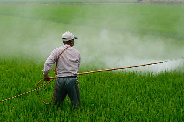 L’AGRICOLTURA INTENSIVA MIGLIORE O UGUALE DI QUELLA BIOLOGICA? UNO STUDIO SU NATURE SMENTISCE QUESTA TESI