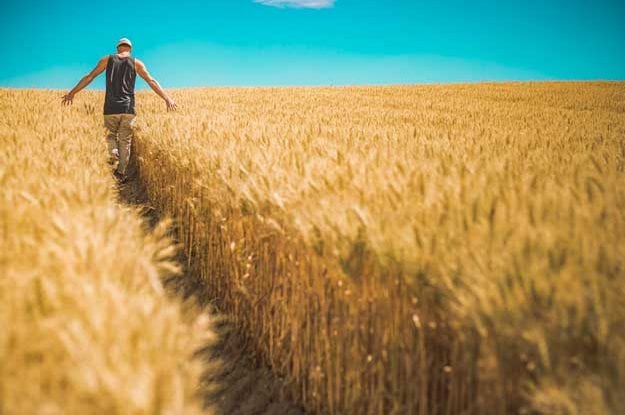 AGRICOLTURA BIOLOGICA: UN TOCCASANA PER L’AMBIENTE, IL CONSUMATORE E L’AGRICOLTORE