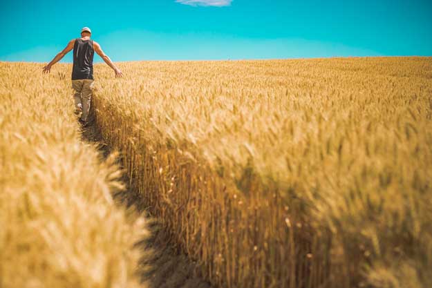 AGRICOLTURA BIOLOGICA: UN TOCCASANA PER L’AMBIENTE, IL CONSUMATORE E L’AGRICOLTORE