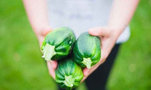 IL BIOLOGICO FA BENE ALLA SALUTE
