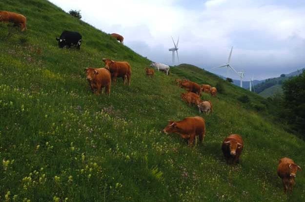 I SINDACI DELLA VAL DI VARA CHIEDONO ALLA BELLANOVA INTERVENTI PER LA MONTAGNA