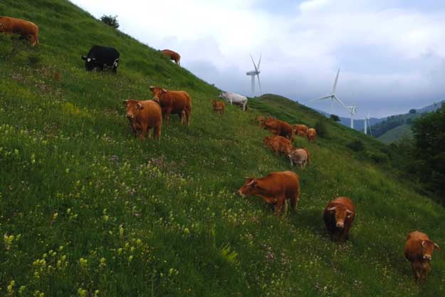 I SINDACI DELLA VAL DI VARA CHIEDONO ALLA BELLANOVA INTERVENTI PER LA MONTAGNA