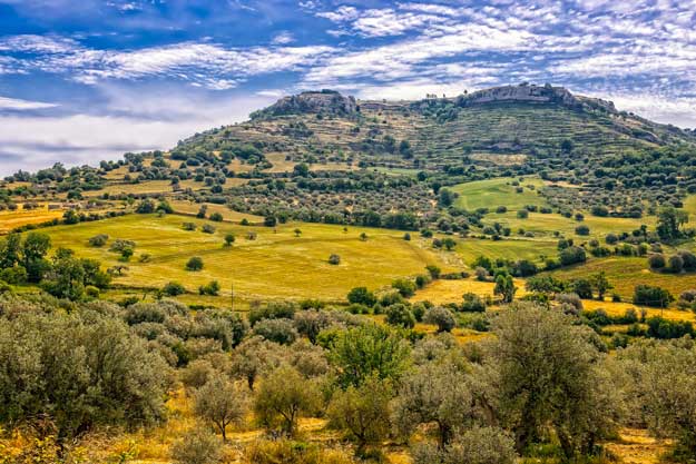 IL BIOLOGICO A SOSTEGNO DEL MERIDIONE