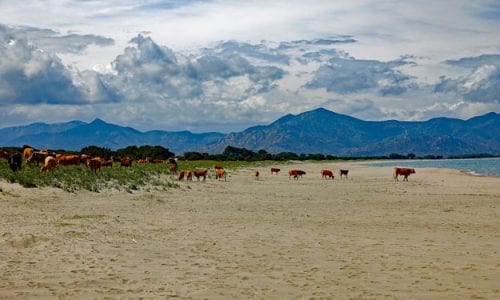 UN BIO DISTRETTO IN SARDEGNA