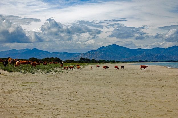 UN BIO DISTRETTO IN SARDEGNA