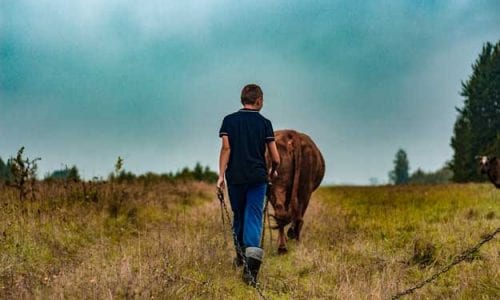 ITALIA PATRIA DI GIOVANI AGRICOLTORI