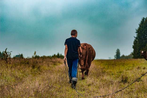 ITALIA PATRIA DI GIOVANI AGRICOLTORI