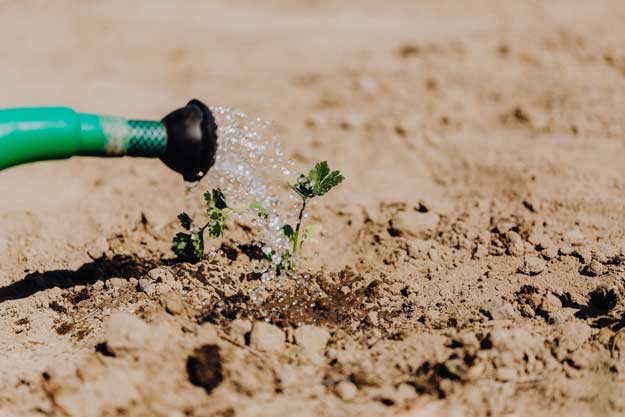 AGRICOLTURA BIO, UN’ALLEATA STRATEGICA VERSO IL GREEN DEAL UE