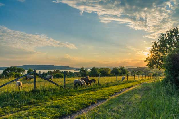 AL WORLD AGRI-TECH SUMMIT SI PARLA DI RINASCIMENTO AGRICOLO E SOSTENIBILITÀ