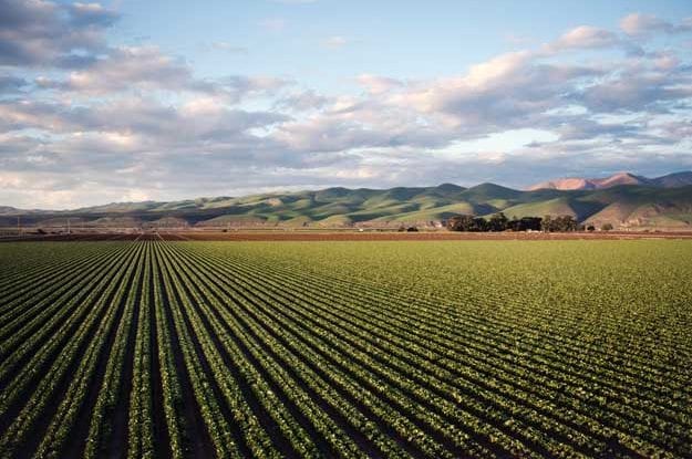 AGROECOLOGY FOR EUROPE (AE4EU): AZIONI CONGIUNTE PER SISTEMI PIU’ SOSTENIBILI