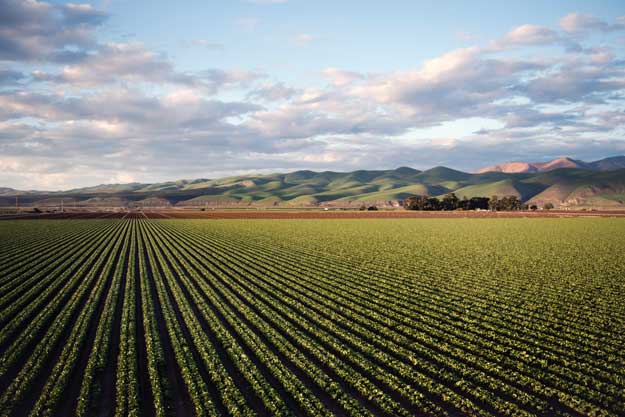 AGROECOLOGY FOR EUROPE (AE4EU): AZIONI CONGIUNTE PER SISTEMI PIU’ SOSTENIBILI