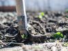 RIPRISTINIAMO LA NOSTRA TERRA: IL RUOLO DELLE AZIENDE AGRICOLE NELLA SALVAGUARDIA DEL PIANETA