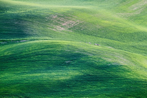 TRANSIZIONE ECOLOGICA DELL’AGRICOLTURA: SEMPRE PIÙ NECESSARIA UN’INVERSIONE DI ROTTA