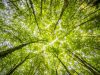 AGROECOLOGIA: LA CHIAVE D’ACCESSO ALLA RIVOLUZIONE GREEN, SECONDO IL WWF