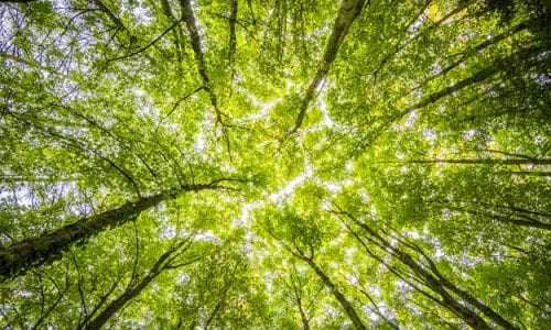 AGROECOLOGIA: LA CHIAVE D’ACCESSO ALLA RIVOLUZIONE GREEN, SECONDO IL WWF