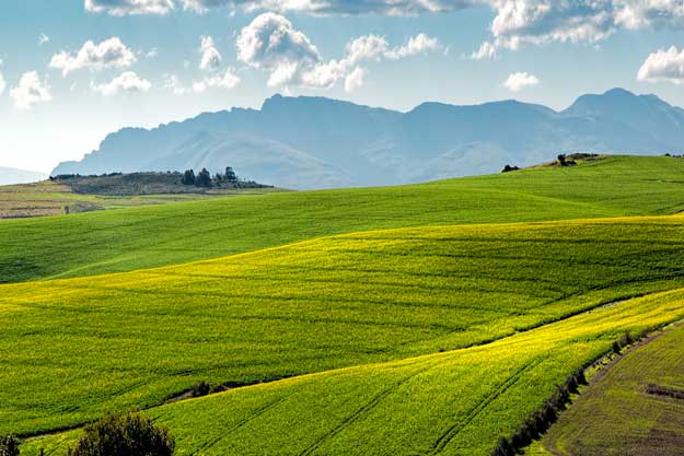 NONOSTANTE LA STASI DELLE POLITICHE AGRICOLE, NASCE IL BIO-DISTRETTO DEL RISO PIEMONTESE