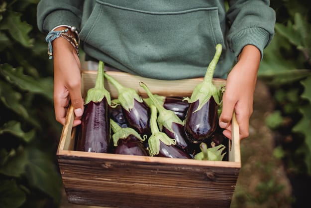 PRODUZIONE BIOLOGICA: L’IMPORTANZA DEL “LOCALLY GROWN”