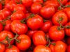 RISCHIO VIA LIBERA A NUOVI OGM: PREOCCUPAZIONE PER PRODUTTORI GREEN E AMBIENTALISTI