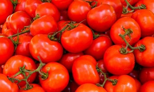 RISCHIO VIA LIBERA A NUOVI OGM: PREOCCUPAZIONE PER PRODUTTORI GREEN E AMBIENTALISTI