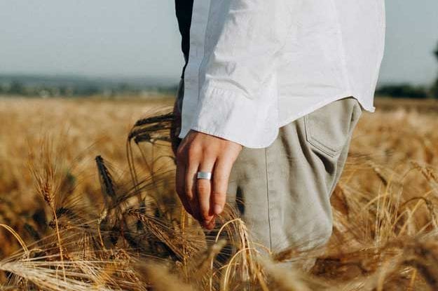 IL NUOVO DDL SULL’AGRICOLTURA BIOLOGICA E GLI ATTACCHI AL BIODINAMICO