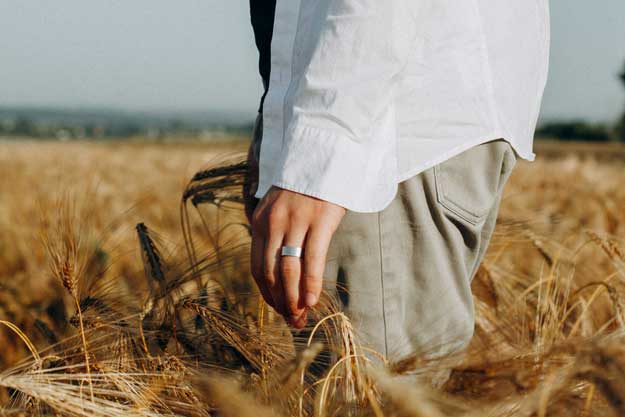 IL NUOVO DDL SULL’AGRICOLTURA BIOLOGICA E GLI ATTACCHI AL BIODINAMICO