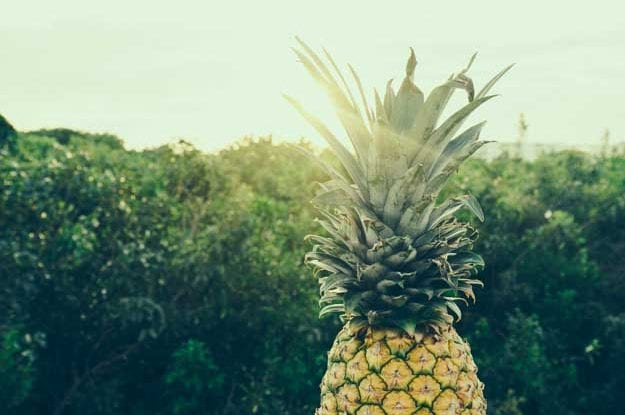 IMPORTAZIONI DI PRODOTTI AGROALIMENTARI BIOLOGICI: LA COMUNITÀ EUROPEA REGISTRA UN CALO TRA 2019 E 2020