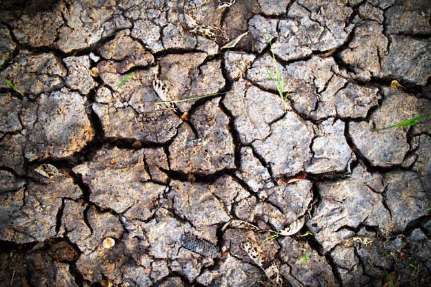 PRODUTTIVITÀ AGRICOLA A RISCHIO: L’INQUINAMENTO RIDUCE LE POTENZIALITA’ DEI SUOLI DEL 25%