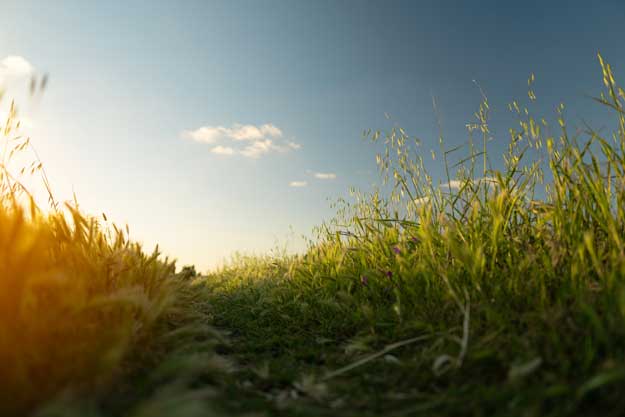 AGRICOLTURA BIODINAMICA DALLA PARTE DEI SUOLI: UNA BATTAGLIA CHE NON SUSSISTE