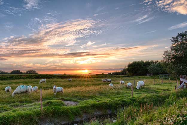 AGRICOLTURA BIOLOGICA RIGENERATIVA: IL PRIMO CENTRO EUROPEO, NASCERÀ A PARMA