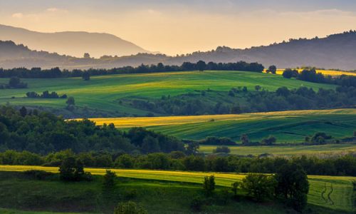 SANA 2021: L’ANALISI DEI NUMERI DELLA FILIERA BIO, TRA PASSATO E PRESENTE