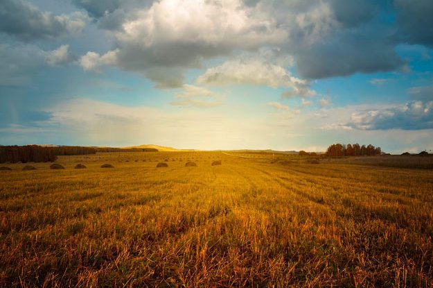 STRATEGIA FARM TO FORK: OK AL PILASTRO CENTRALE DEL GREEN DEAL DA PARTE DI ENVI E AGRI
