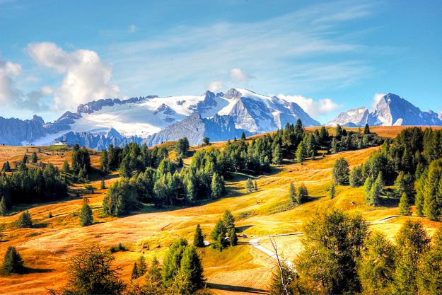 UN BIODISTRETTO CHE COPRE TUTTA LA PROVINCIA DI TRENTO