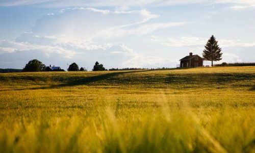 AGRICOLTURA BIODINAMICA: IN PARTENZA DUE CORSI FORMATIVI