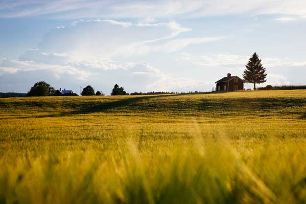 AGRICOLTURA BIODINAMICA: IN PARTENZA DUE CORSI FORMATIVI