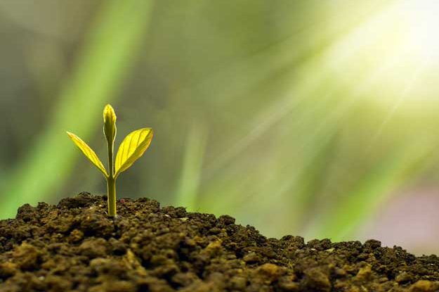 CARBON FARMING: IL RUOLO DELL’AGRICOLTURA NEL CONTRASTO AL CAMBIAMENTO CLIMATICO