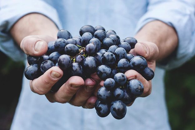 FRUTTA E ORTAGGI: BIOLOGICO VUOL DIRE FIDUCIA