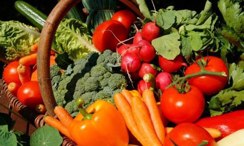 LA GIORNATA MONDIALE DELL’ALIMENTAZIONE E IL CAMBIAMENTO VERSO LA SOSTENIBILITÀ