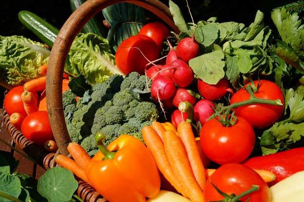 LA GIORNATA MONDIALE DELL’ALIMENTAZIONE E IL CAMBIAMENTO VERSO LA SOSTENIBILITÀ