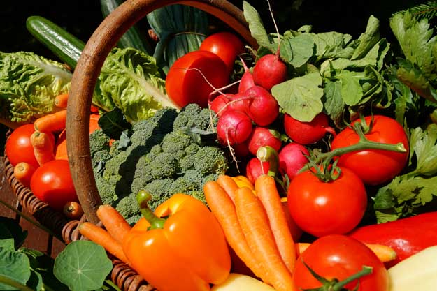 LA GIORNATA MONDIALE DELL’ALIMENTAZIONE E IL CAMBIAMENTO VERSO LA SOSTENIBILITÀ