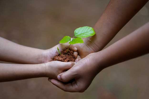 LA SALUTE DEL SUOLO: COLTIVAZIONI A CONFRONTO IN UNA RICERCA STATUNITENSE