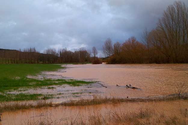 FORTE IMPULSO DEL BIO SULLE POLIZZE PER I RISCHI CLIMATICI