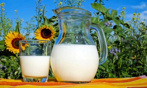 LATTE BIO, BRACCIO DI FERRO TRA ALLEVATORI E DANONE NEGLI STATES