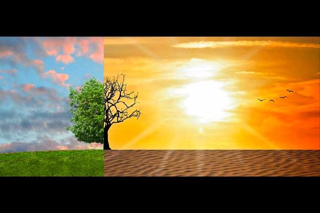NEUTRALITÀ CLIMATICA, CREDITI DI CARBONIO PER I PRODUTTORI VIRTUOSI?