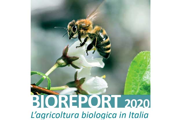 BIOREPORT 2020: VANTAGGI, PROBLEMI E SOLUZIONI PER IL BIO ITALIANO