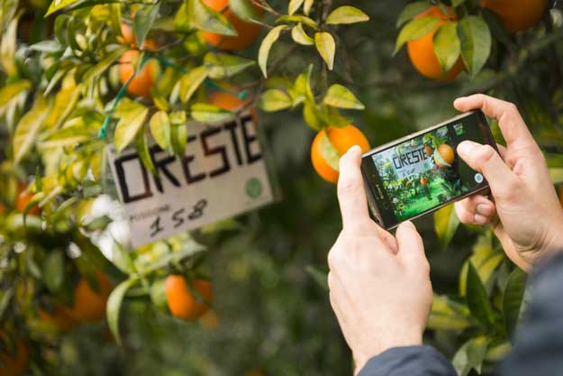 ADOTTA IN RETE UN ALBERO DA FRUTTO BIO