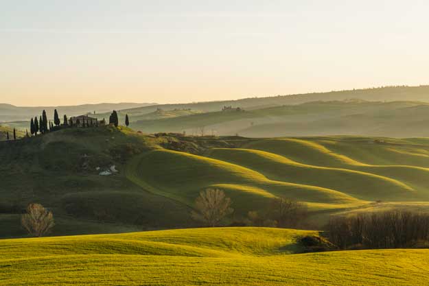 LA TOSCANA PROLUNGA L’IMPEGNO ECONOMICO SUL BIO