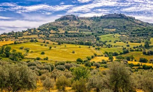 BANDI PER IL BIOLOGICO AL SUD