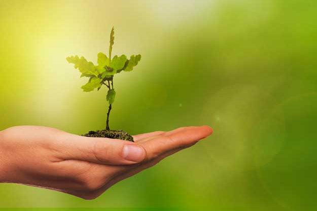 L’OTTIMISMO DELL’AMBIENTALISMO