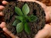 FIRMATO IL DECRETO ATTUATIVO DEL NUOVO REGOLAMENTO SUI PROCESSI PRODUTTIVI BIO ED ETICHETTATURA